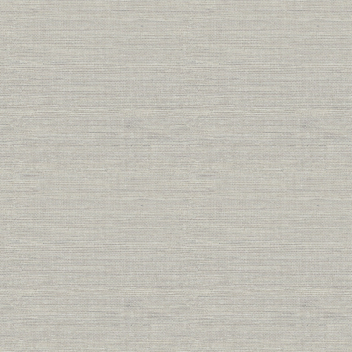 Agave Wallpaper in Dove