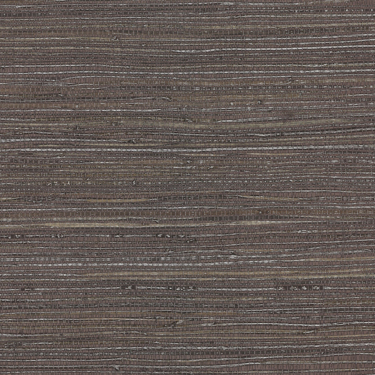 Shandong Wallpaper in Chocolate