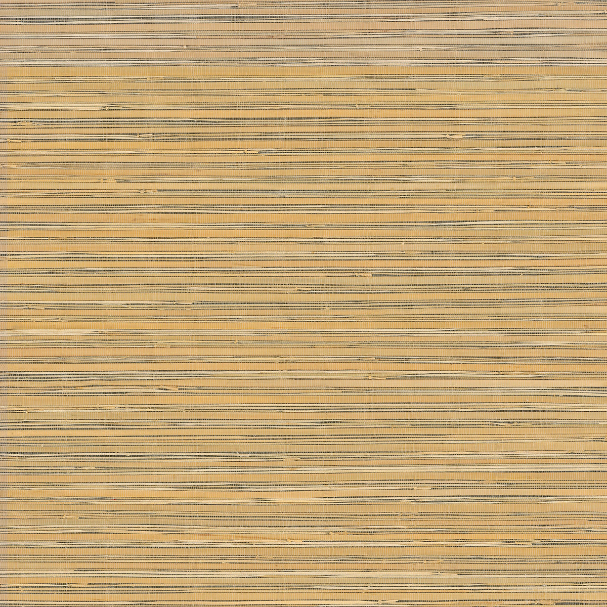 Ushi Grasscloth Wallpaper in Black