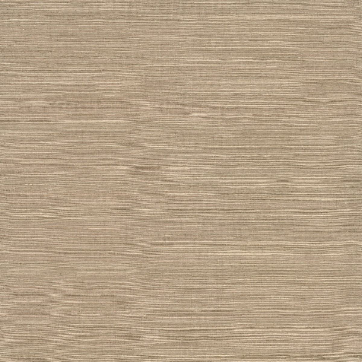 Weici Sisal Grasscloth Wallpaper in Beige