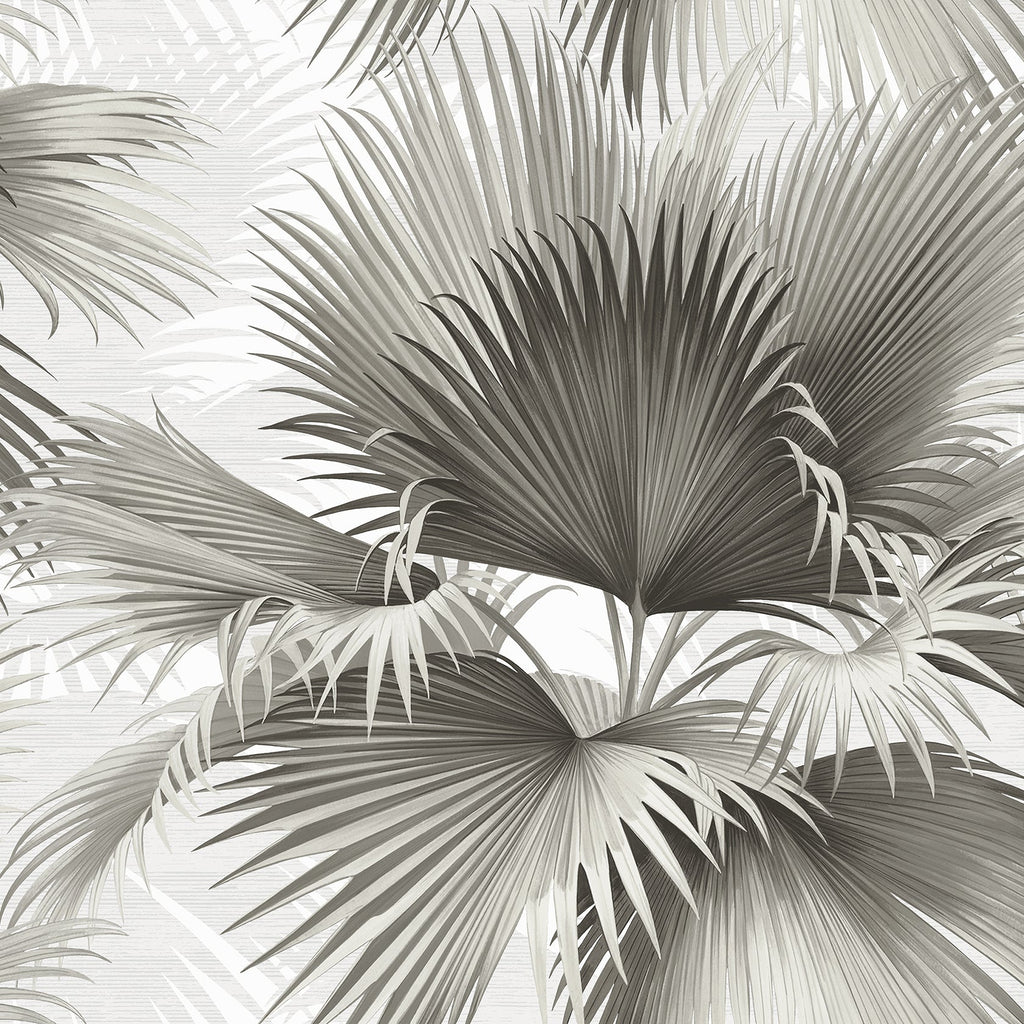 Summer Palm Tropical Wallpaper wallpaper detail or room view