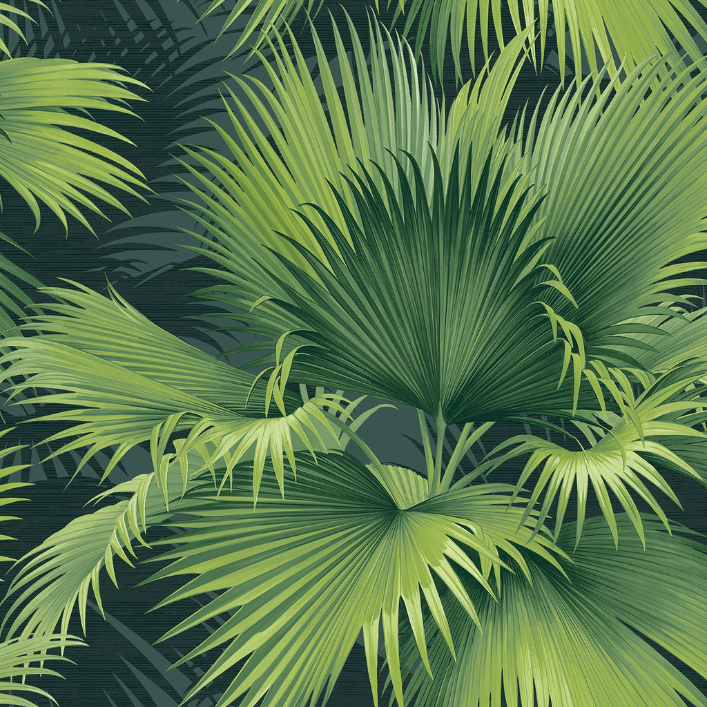 Summer Palm Tropical Wallpaper wallpaper detail or room view