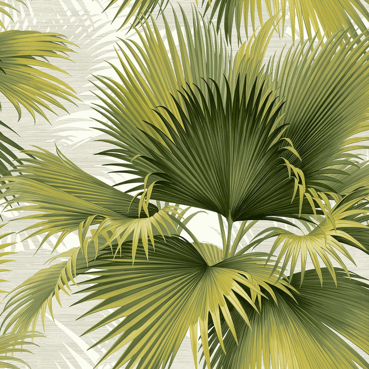 Summer Palm Tropical Wallpaper wallpaper detail or room view