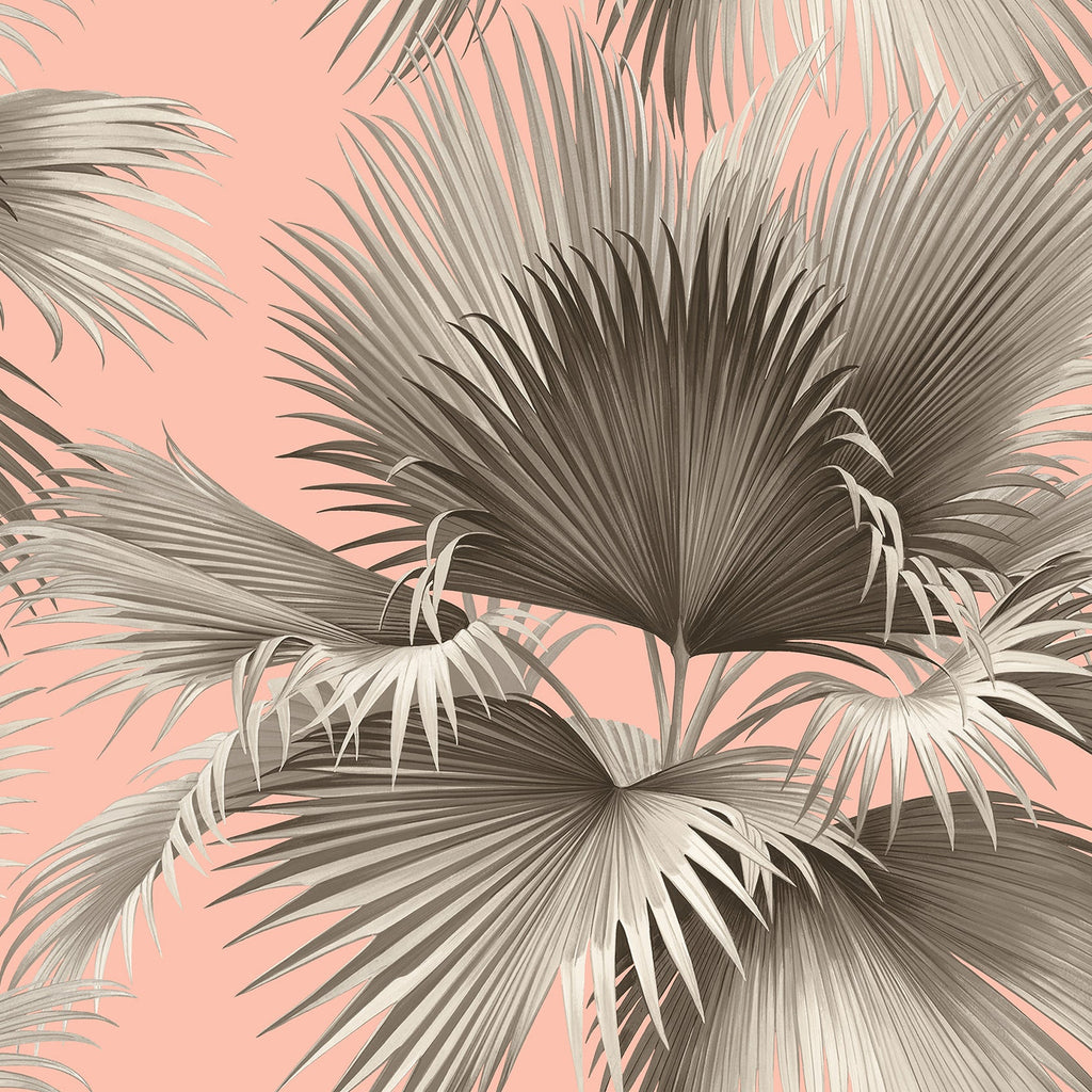 Summer Palm Tropical Wallpaper in Blush