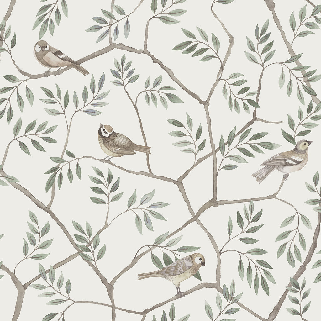 Crossbill Branches Wallpaper wallpaper detail or room view