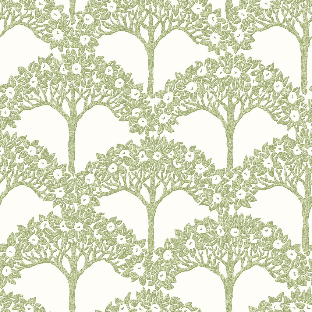 Dawson Magnolia Tree Wallpaper wallpaper detail or room view