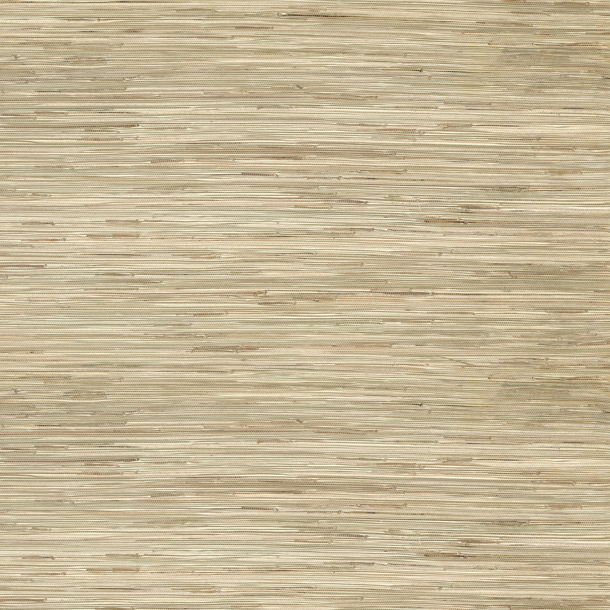 Sogen Wallpaper in Khaki