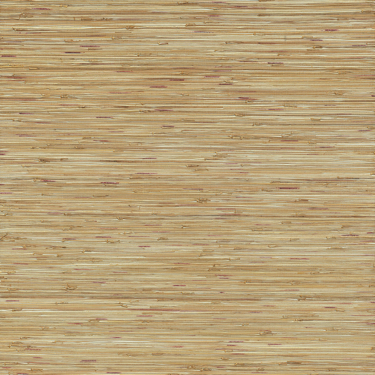 Shuang Handmade Grasscloth Wallpaper in Light Brown