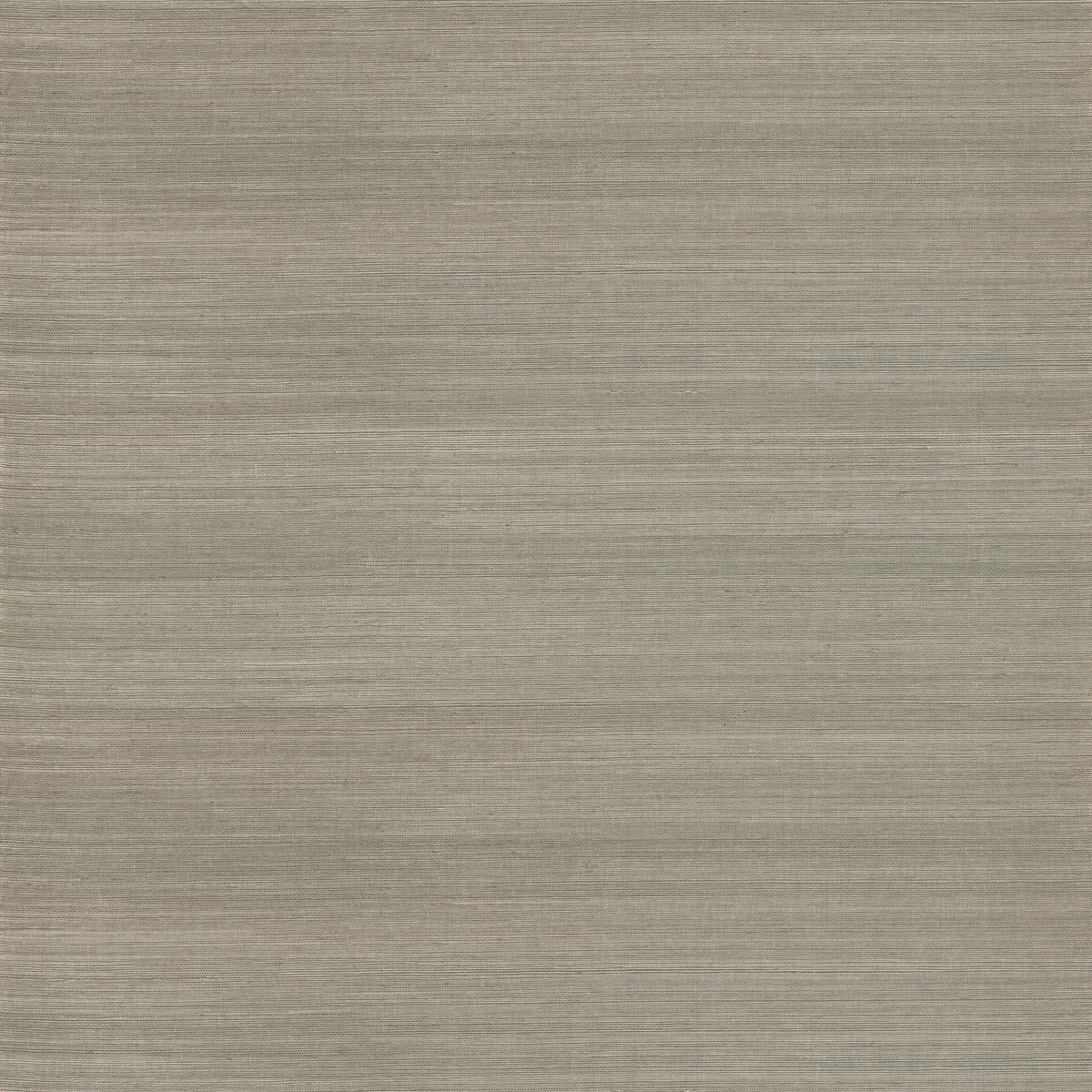 Caihon Sisal Grasscloth Wallpaper in Silver
