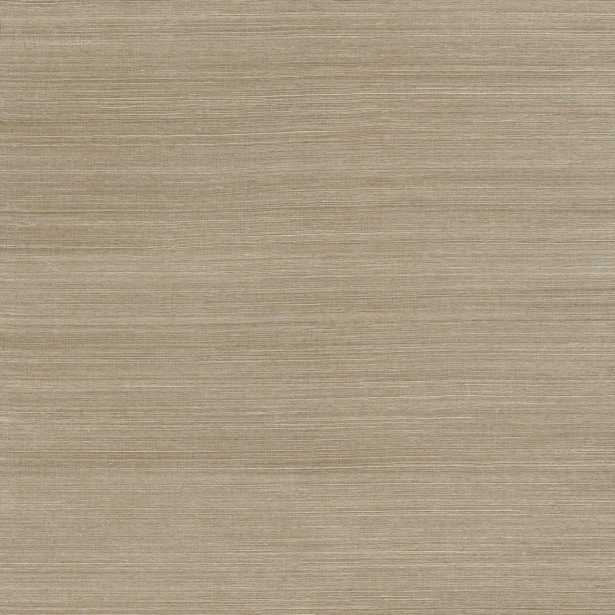Sakiya Sisal Grasscloth Wallpaper in Neutral