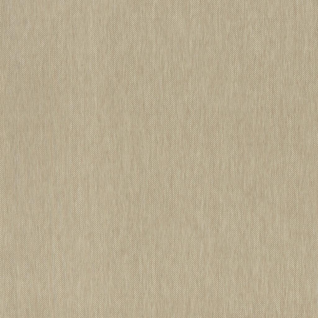 Jia Paper Weave Grasscloth Wallpaper in Taupe