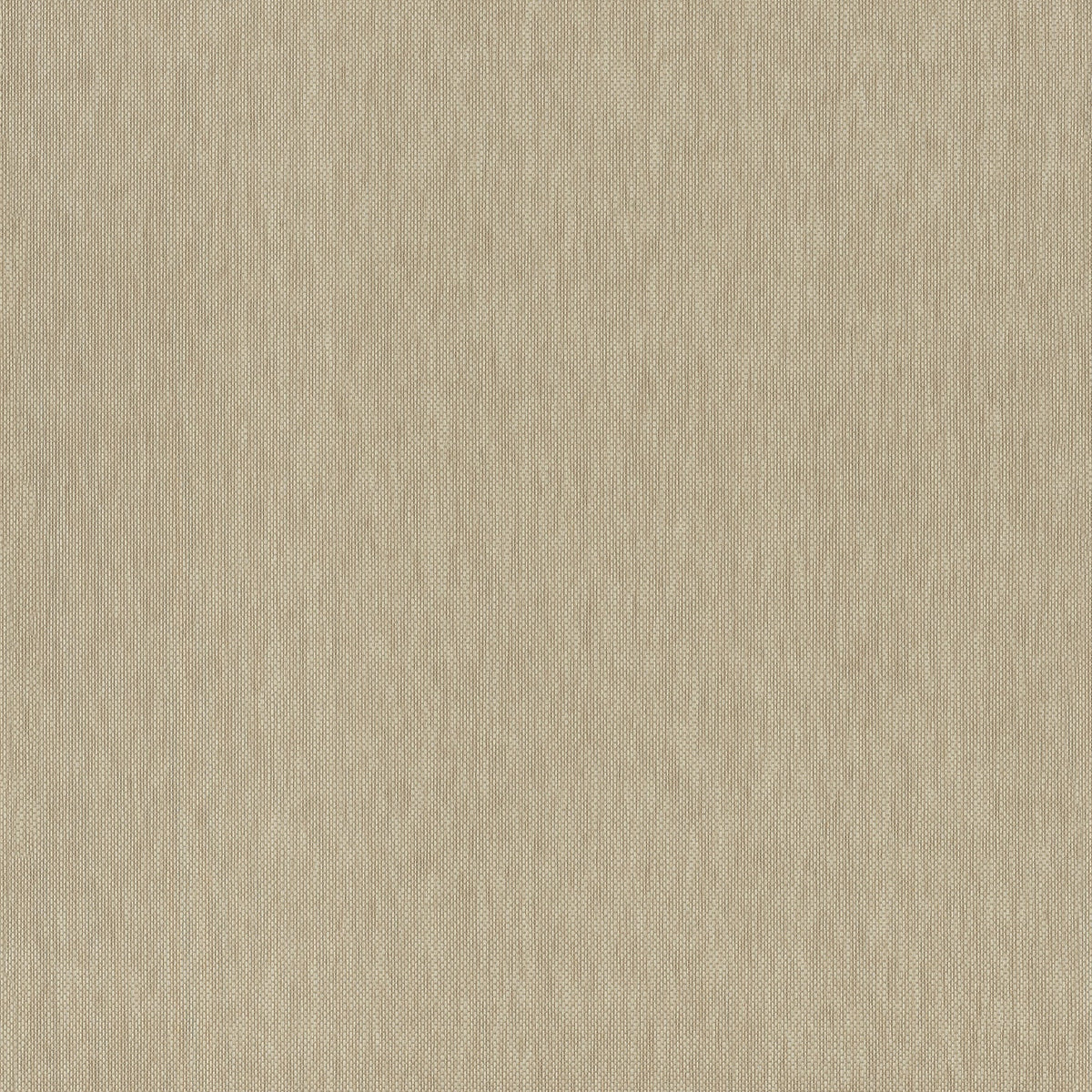 Jia Paper Weave Grasscloth Wallpaper in Taupe