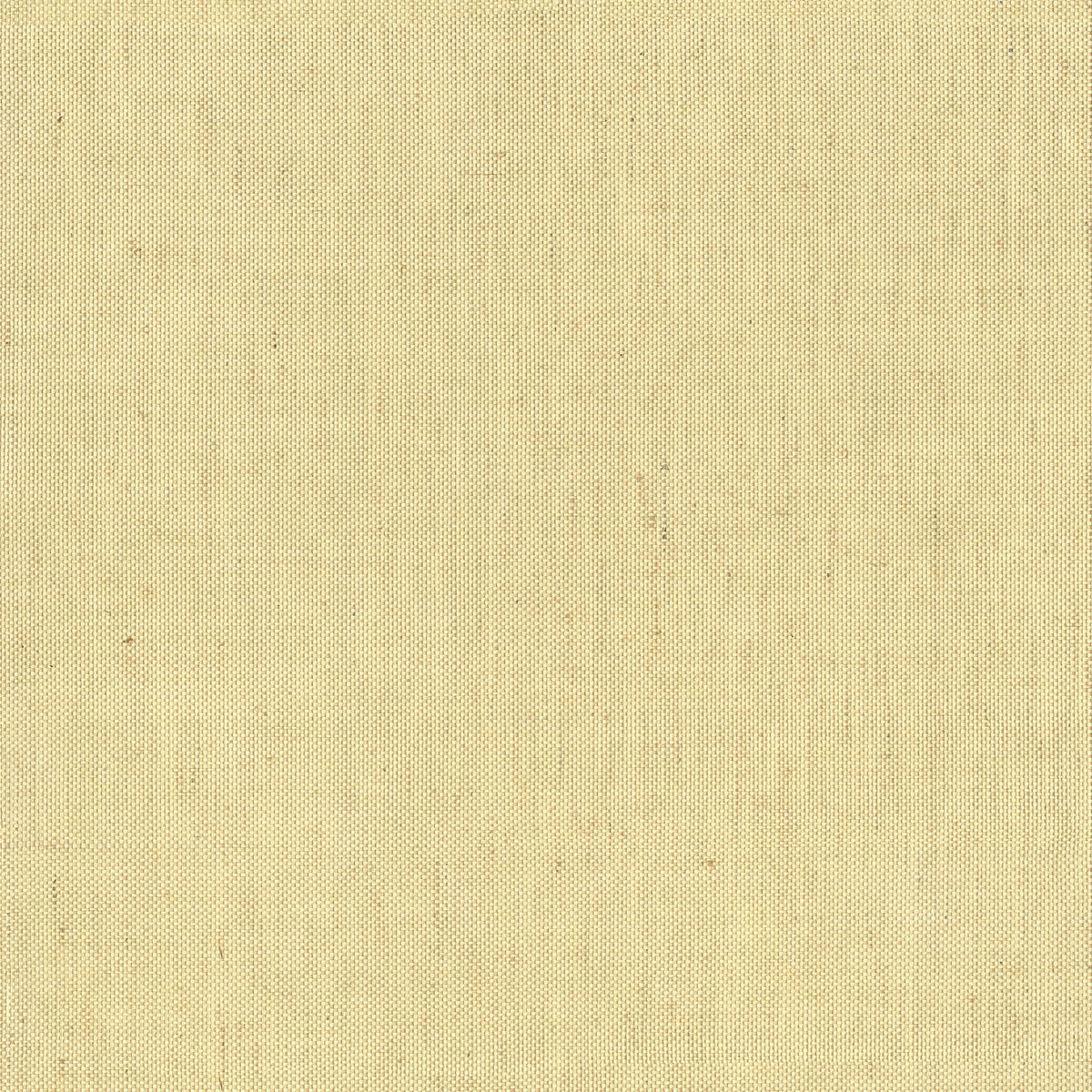 Yanyu Paper Weave Grasscloth Wallpaper in Wheat