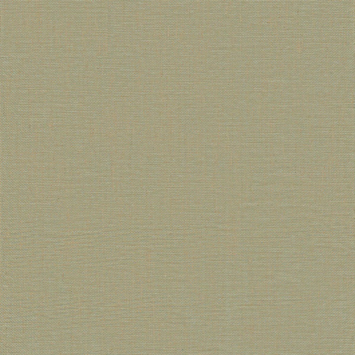 Yanyu Paper Weave Grasscloth Wallpaper in Sage