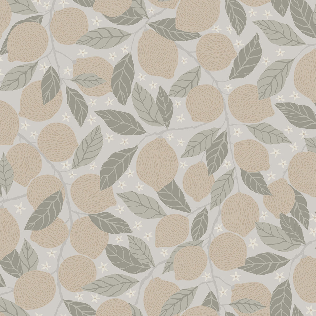 Lemona Fruit Tree Wallpaper in Grey