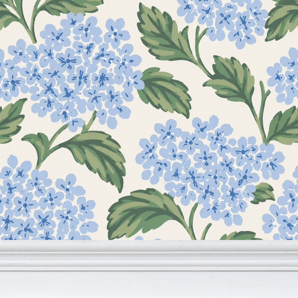 HYDRANGEA + SEEK