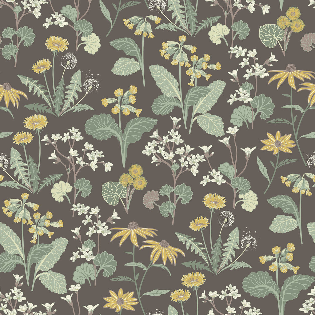 Magdalena Dandelion Wallpaper in Charcoal