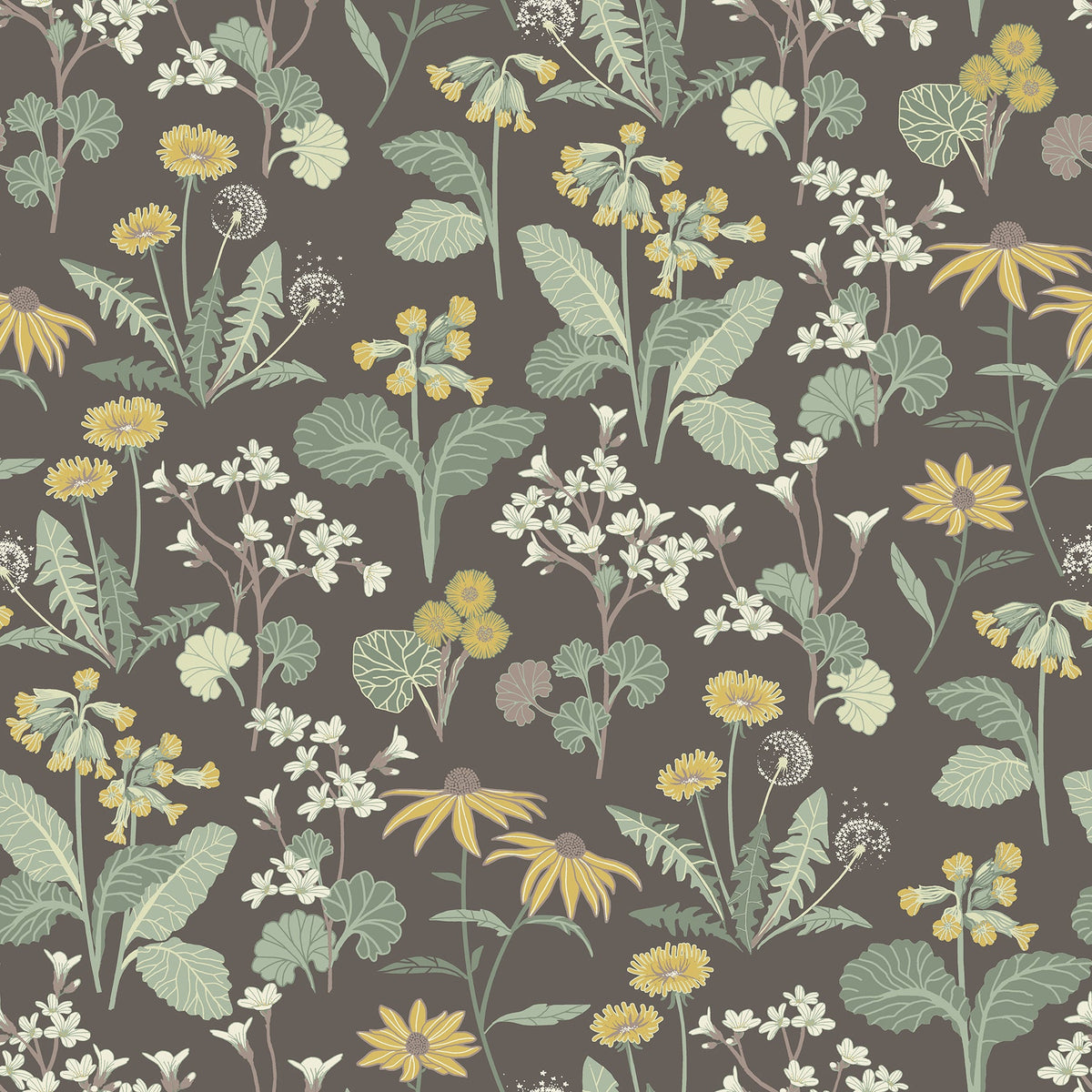 Magdalena Dandelion Wallpaper in Charcoal