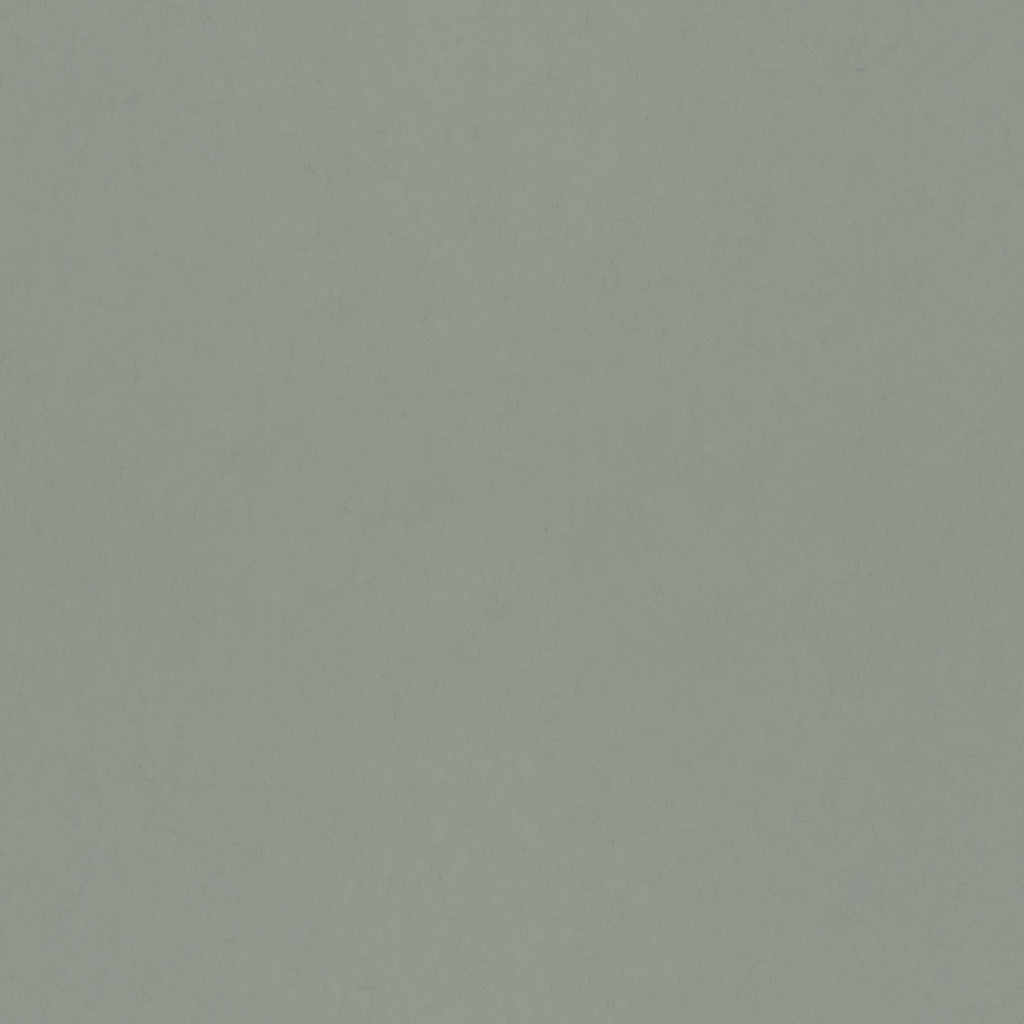 Parget Avokado Textured Wallpaper in Green