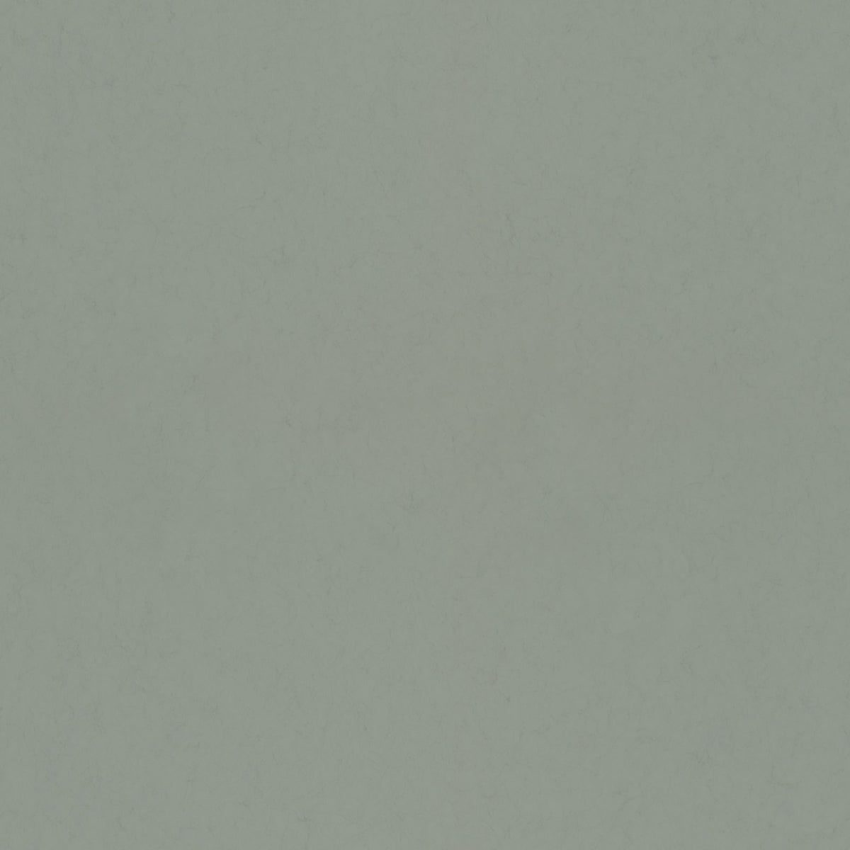 Parget Avokado Textured Wallpaper in Green