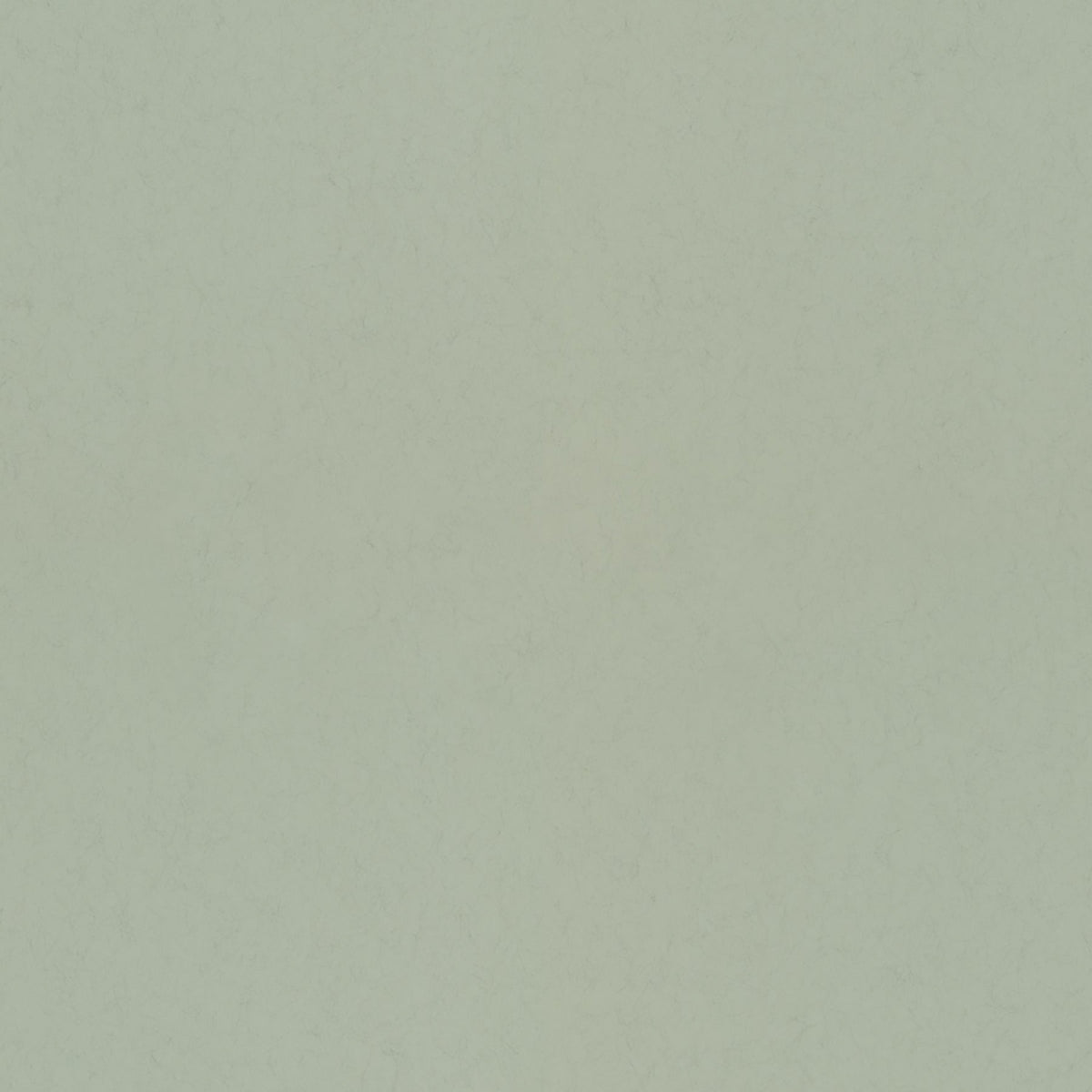 Parget Vår Textured Wallpaper in Light Green