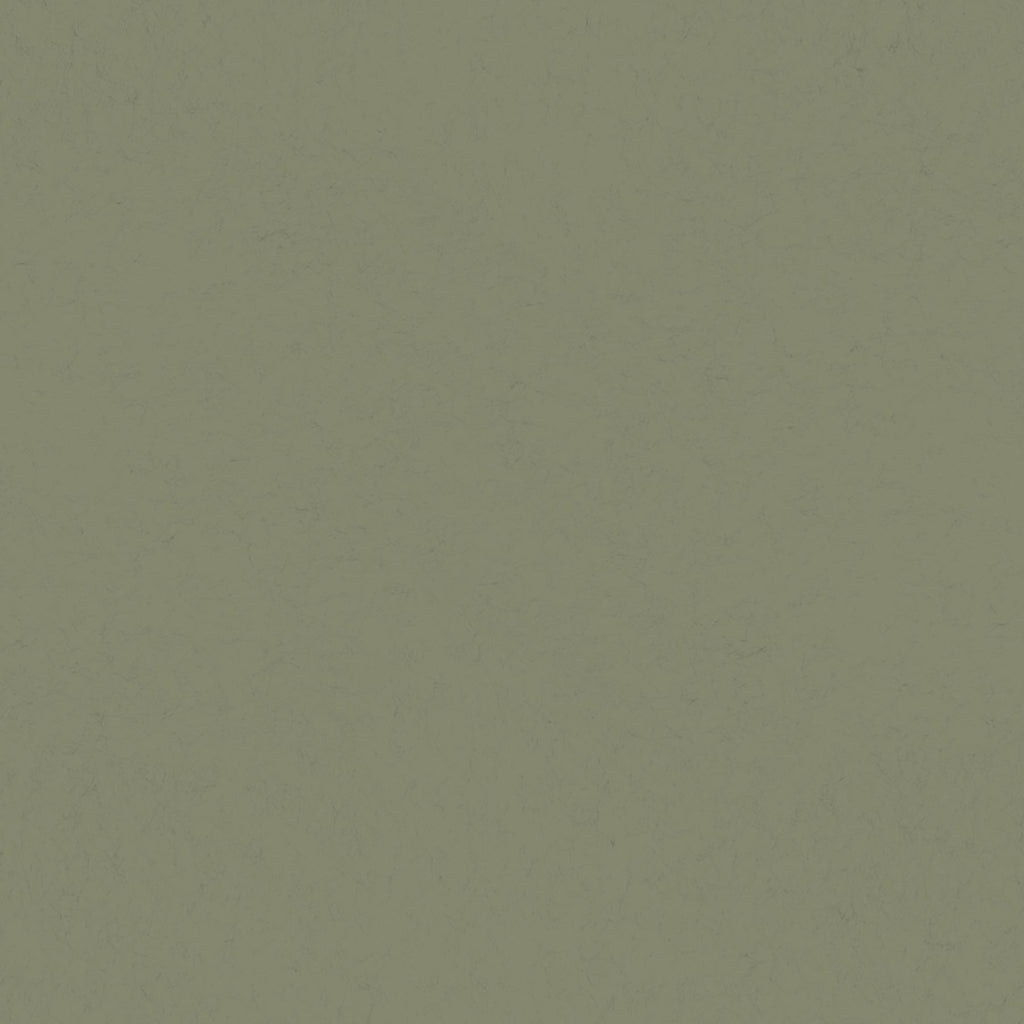 Parget Skog Textured Wallpaper in Olive