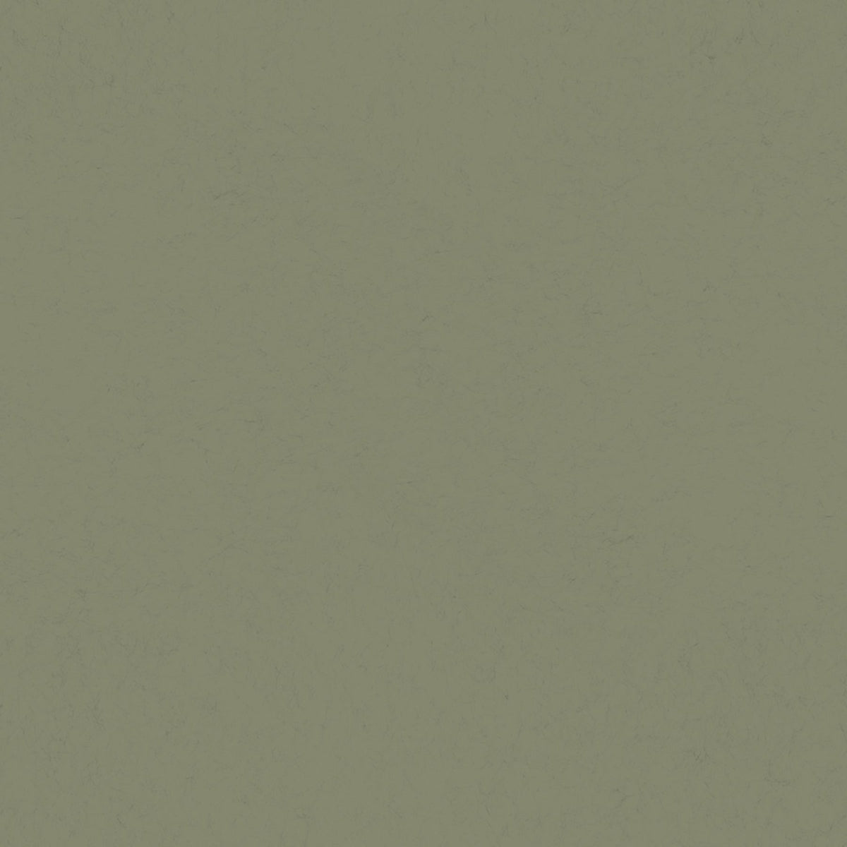 Parget Skog Textured Wallpaper in Olive