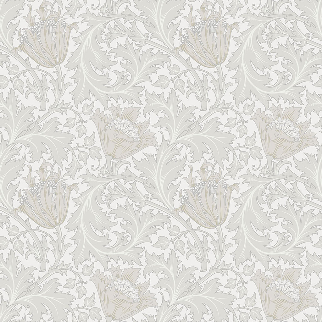 Anemone Floral Trail Wallpaper in Dove