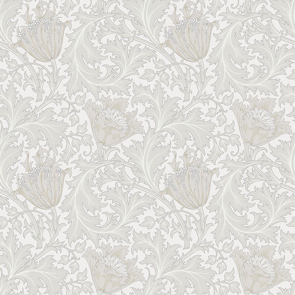 Anemone Floral Trail Wallpaper in Dove