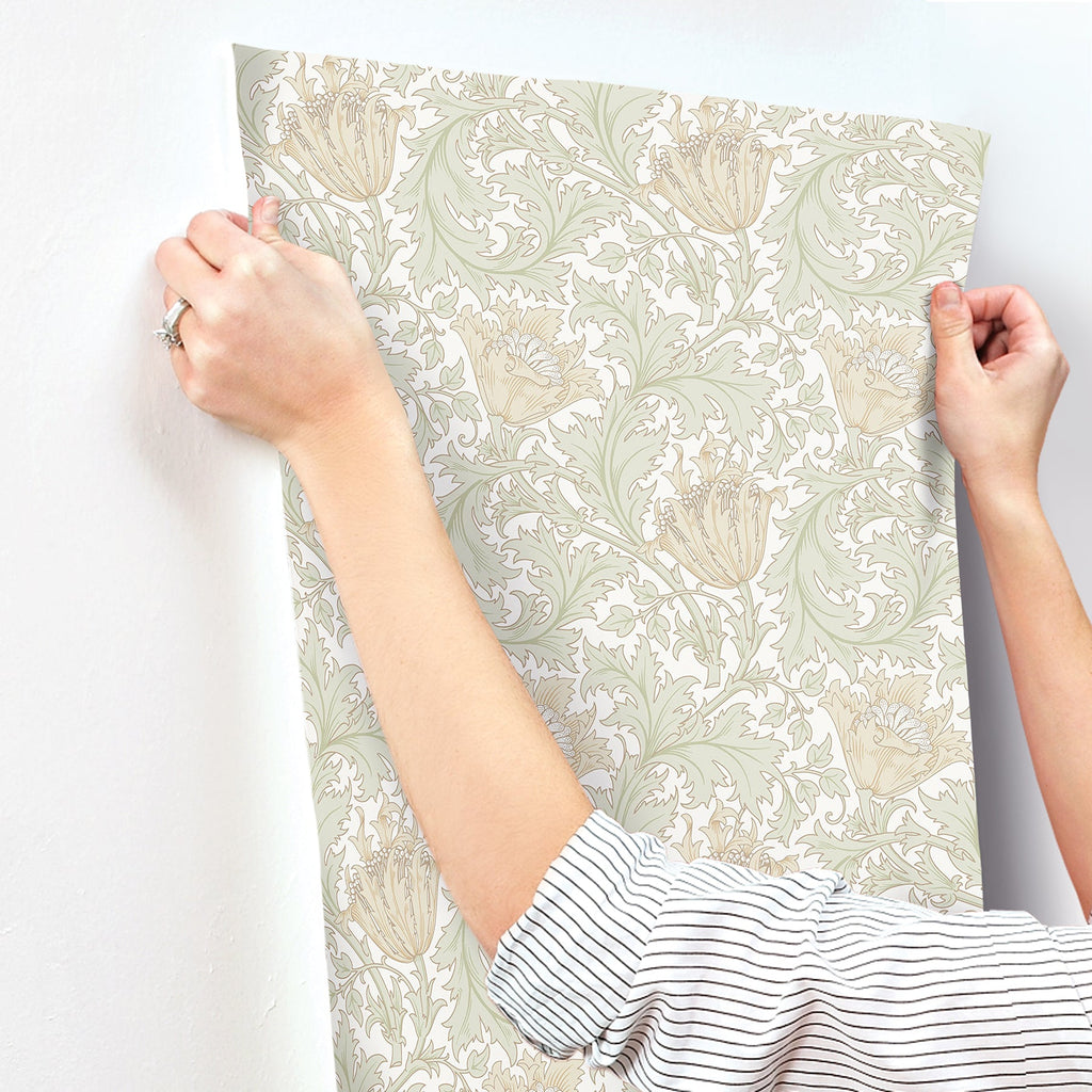 Anemone Floral Trail Wallpaper wallpaper detail or room view