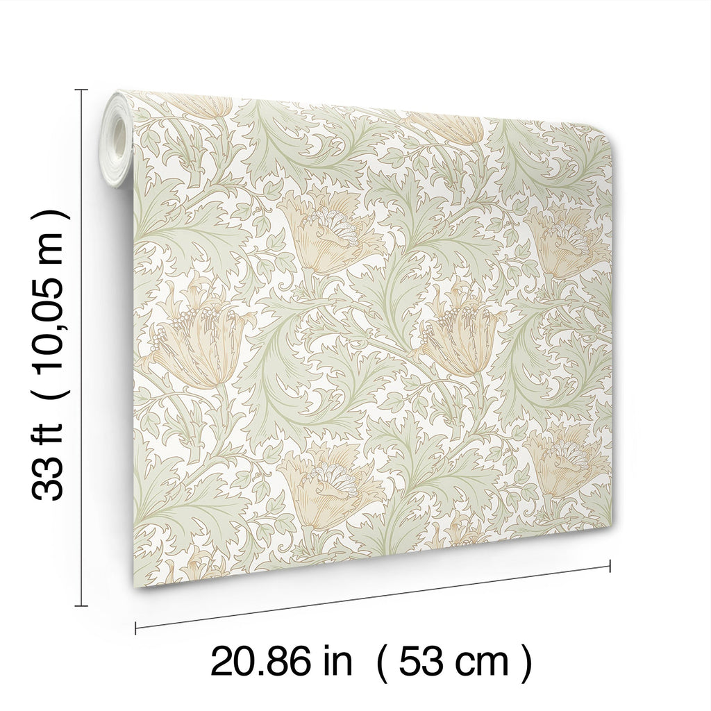 Anemone Floral Trail Wallpaper wallpaper detail or room view