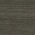 Mycroft Grasscloth Wallpaper in Slate