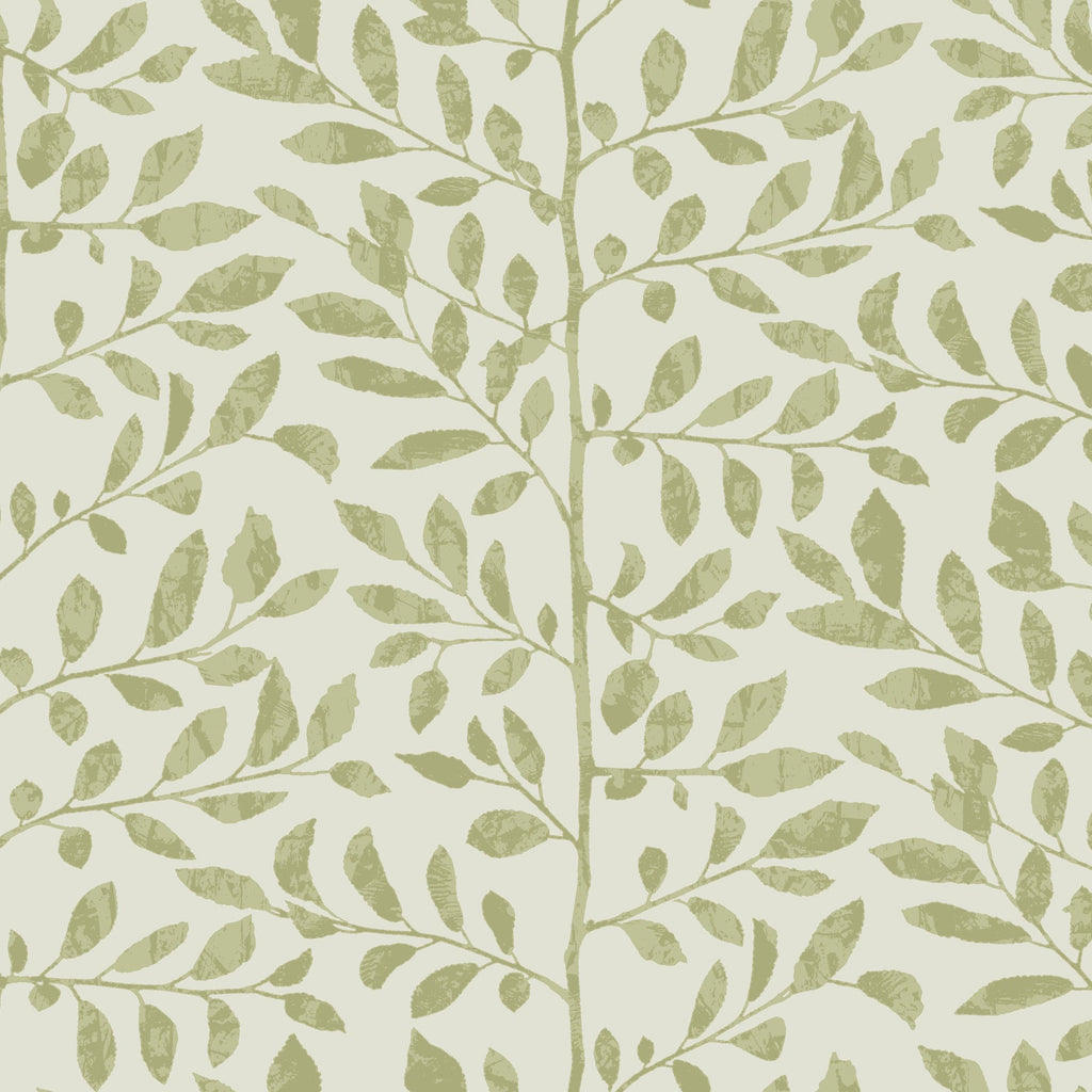 Sagecrest Sapling Wallpaper in Sage