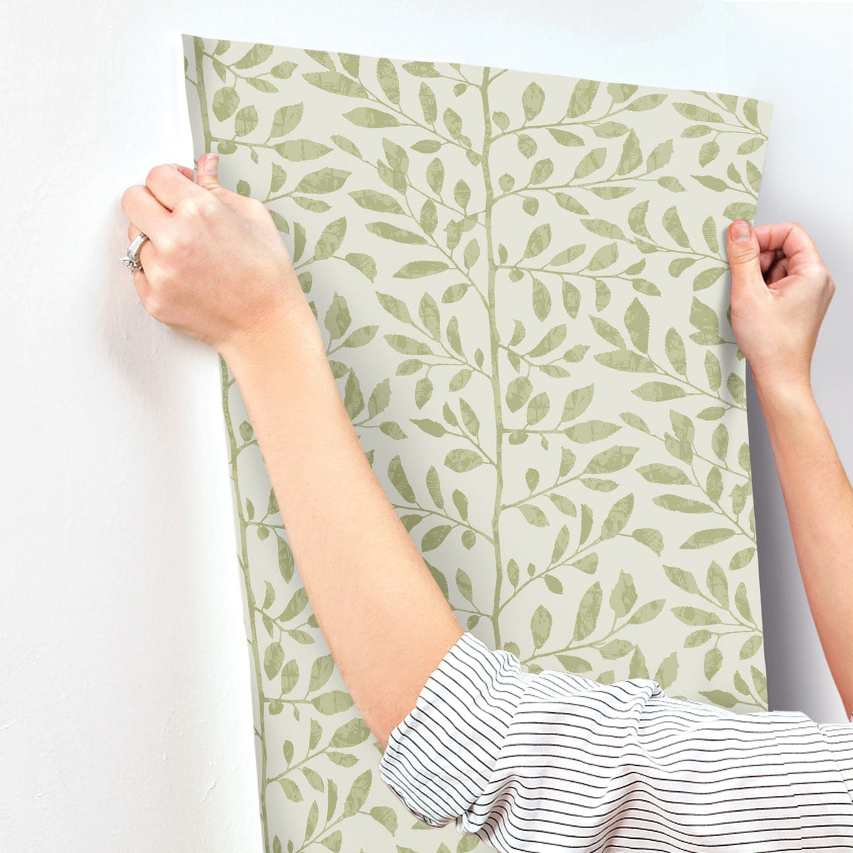 Sagecrest Sapling Wallpaper wallpaper detail or room view