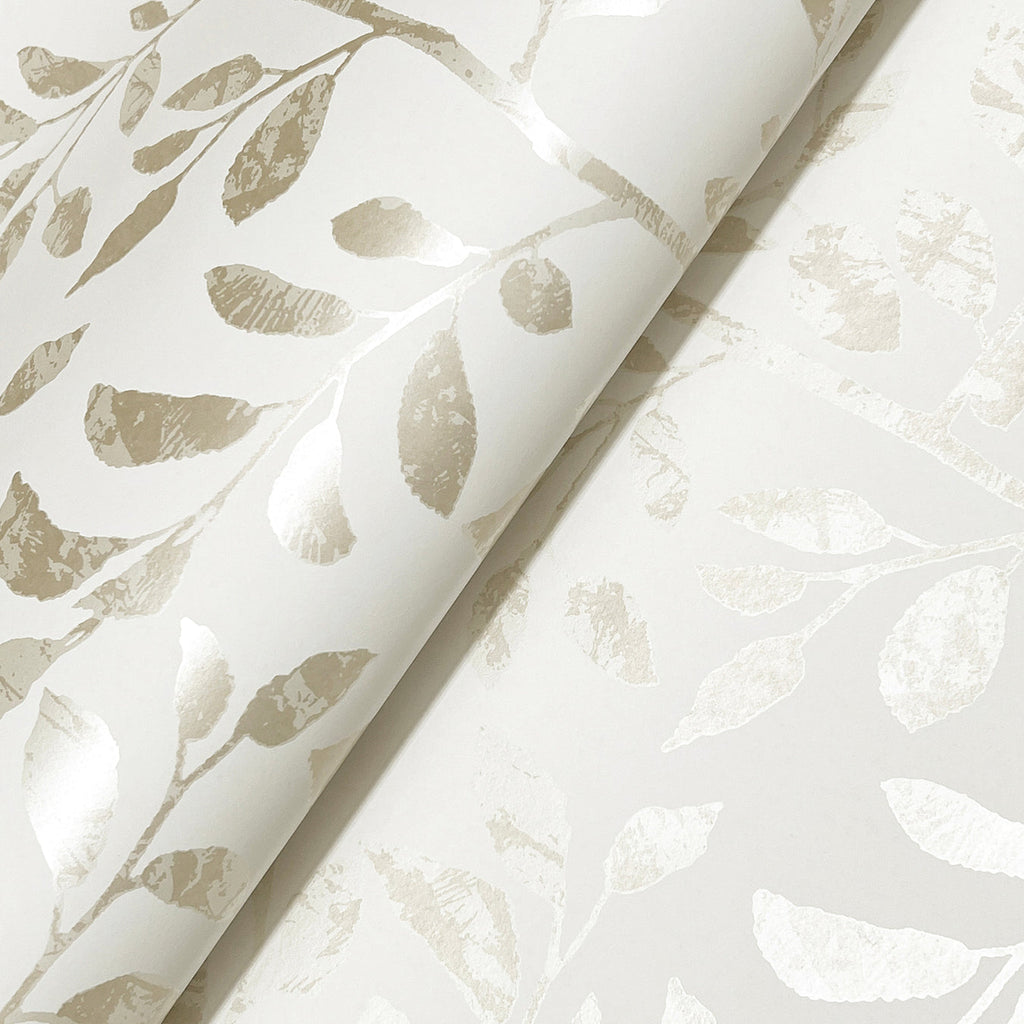 Sagecrest Sapling Wallpaper wallpaper detail or room view