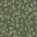 Hängbjörk Vine Wallpaper in Evergreen