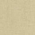 Naim Sage Solid Texture Wallpaper wallpaper