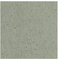 Burnished Patina Silver Wallpaper - AC9212