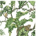 Jungle Cat White Wallpaper - HO2145