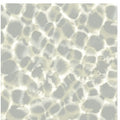 Grey Leopard Rosettes Wallpaper - HO2163