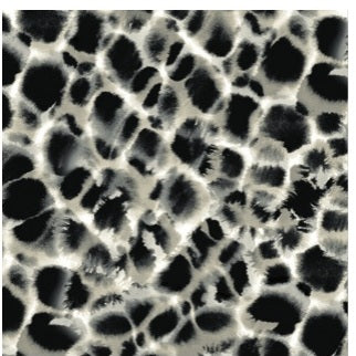 Black & Off White Leopard Rosettes Wallpaper - HO2164