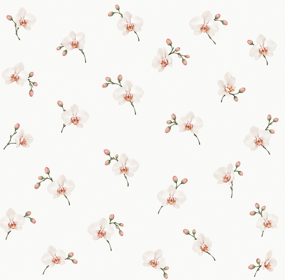LITTLE ORCHID ENERGY