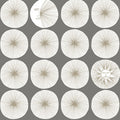 Soho Starburst Peel & Stick Wallpaper in Grey