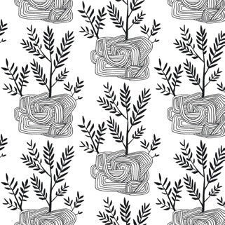 Seedlings Peel & Stick Wallpaper in Black